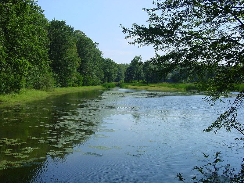 PR Bažantula