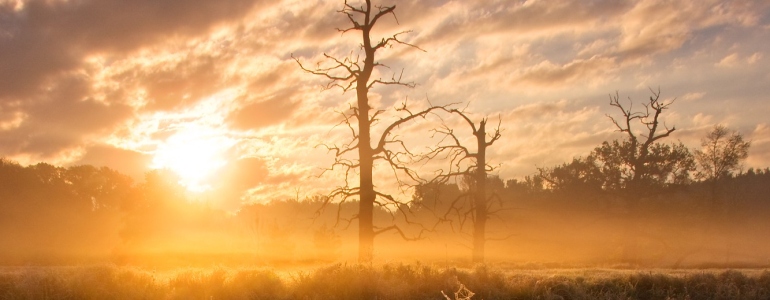 Sunrise in Soutok PLA, author: Jan Miklín