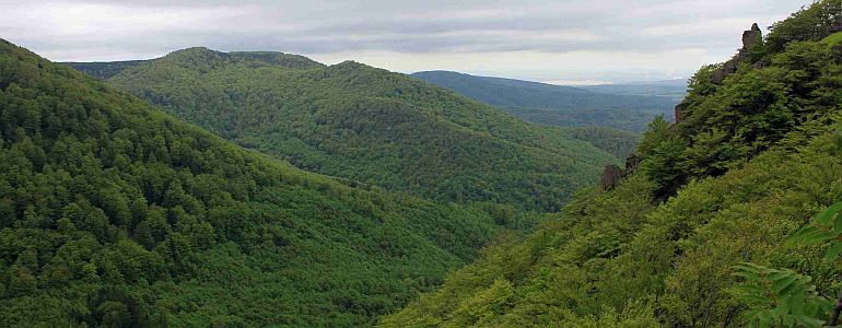 Czech Republic Has its First Natural Site in UNESCO