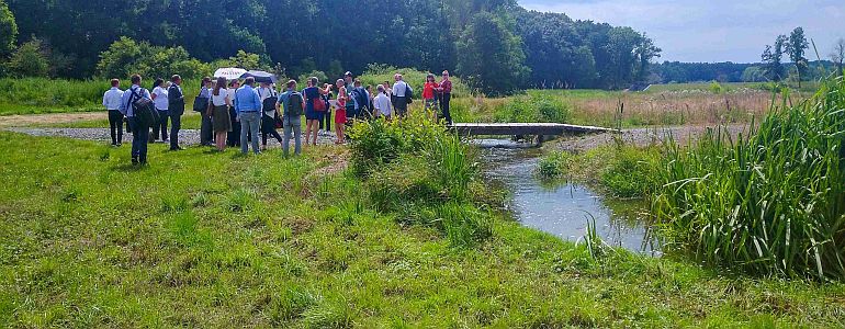 Czech Presidency to the Council of the EU