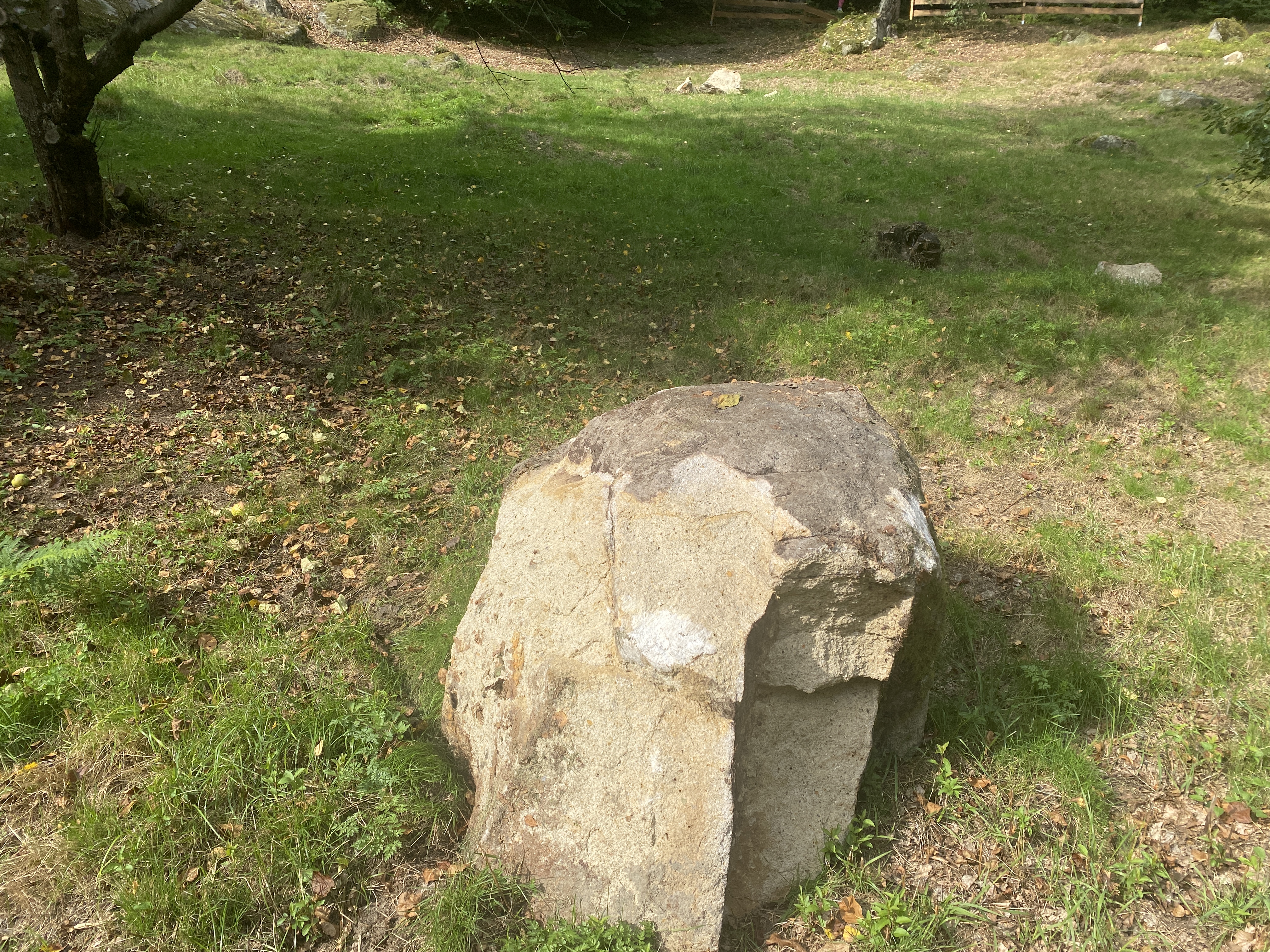 Balvan zřícený ze skal.