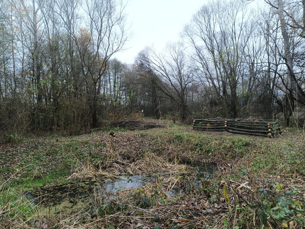 plazniky v PP Rakosina ve Stritezi nad Becvou