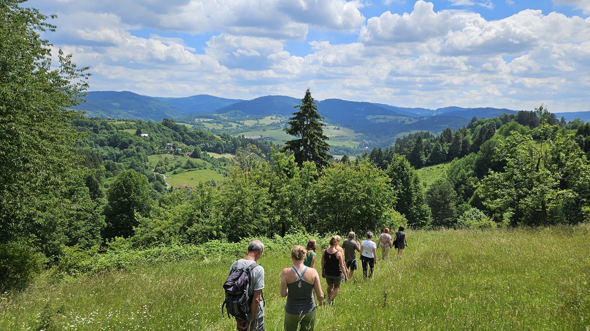 Botanická exkurze Losový
