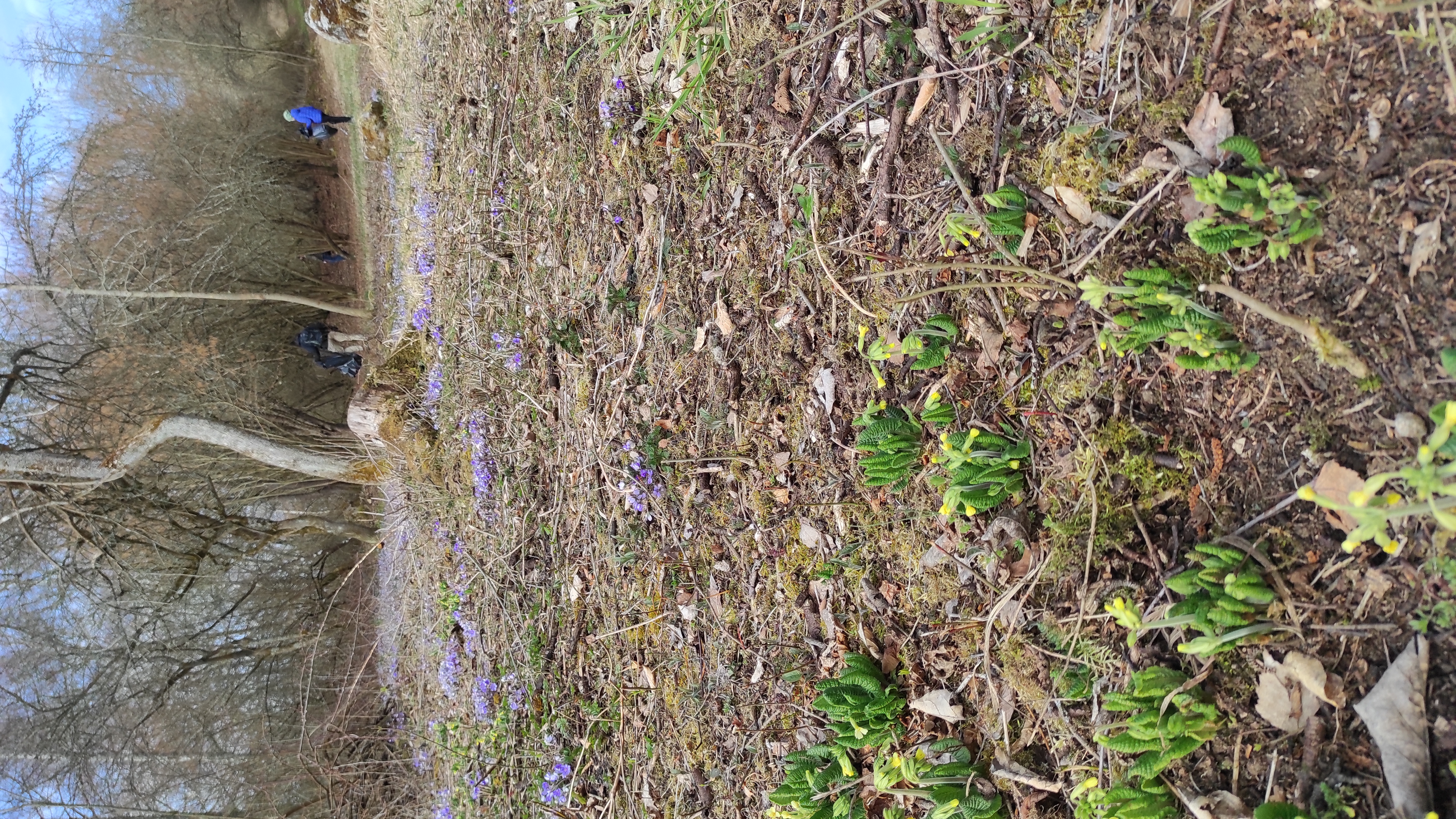 Úklid odpadků v přírodní památce Výří vrch.