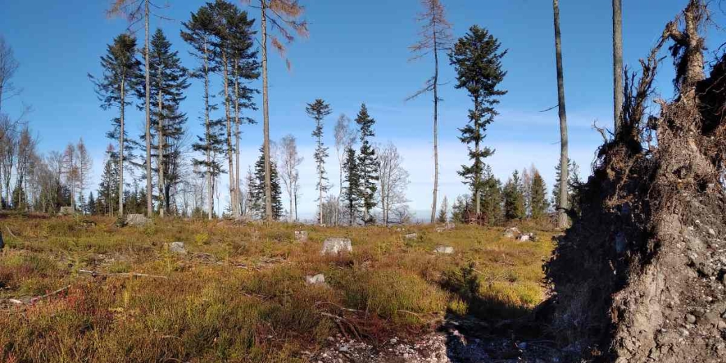 Přírodní památka Kočka v CHKO Brdy