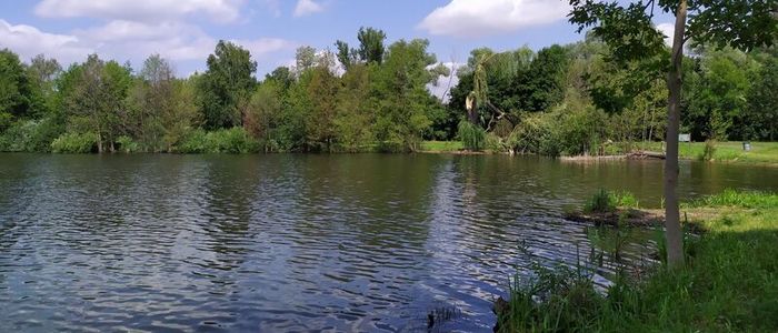 Poděbrady.