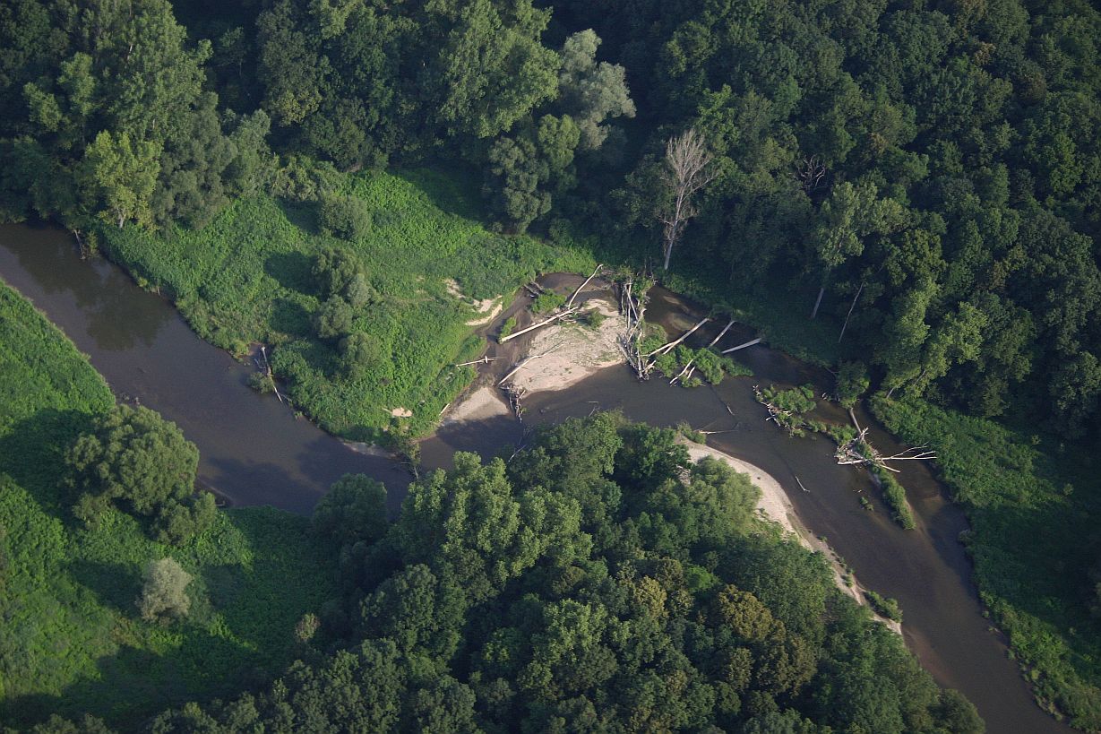 Meandry v Litovelském Pomoraví