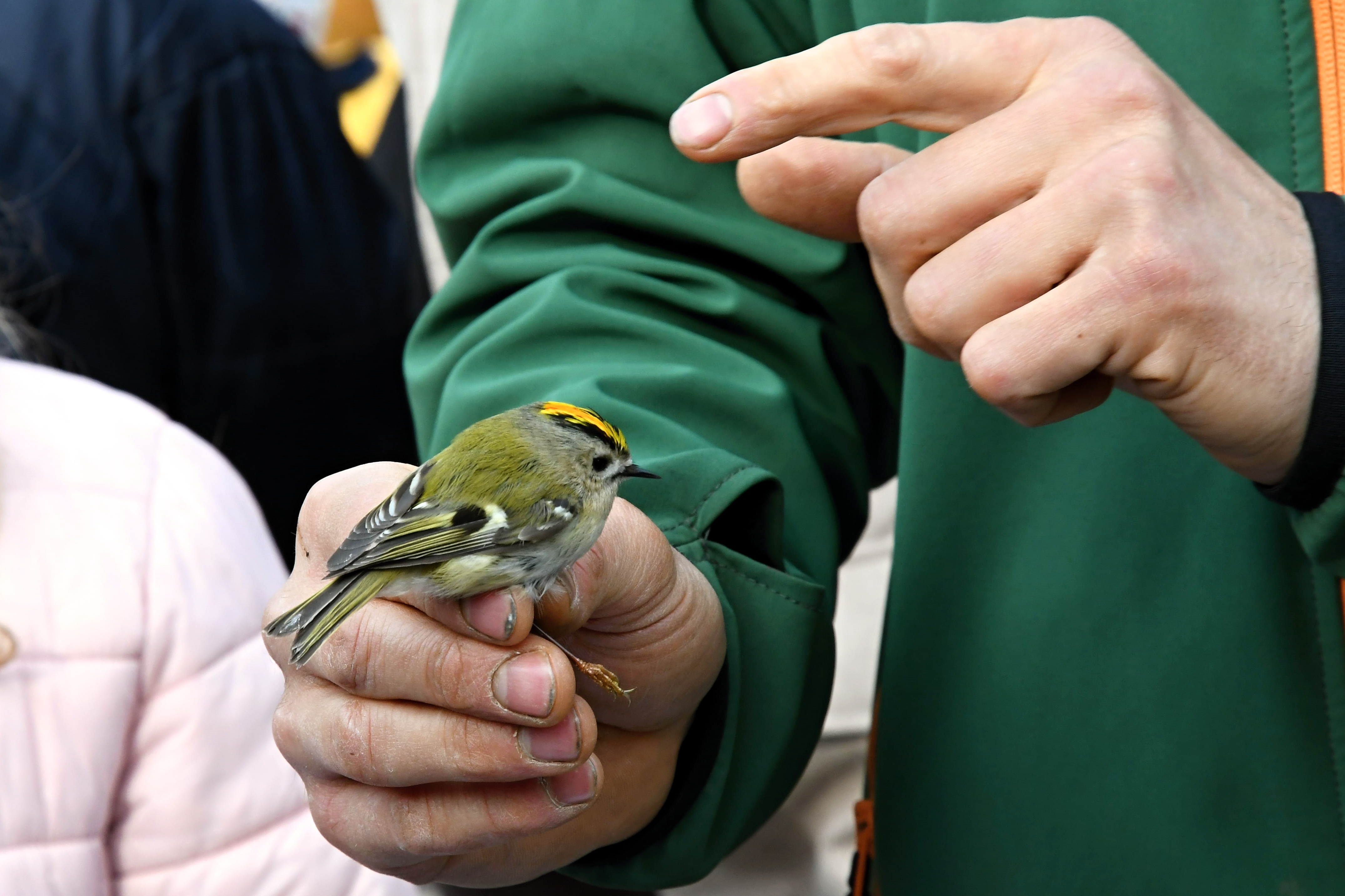 Vítání ML_Coufalík